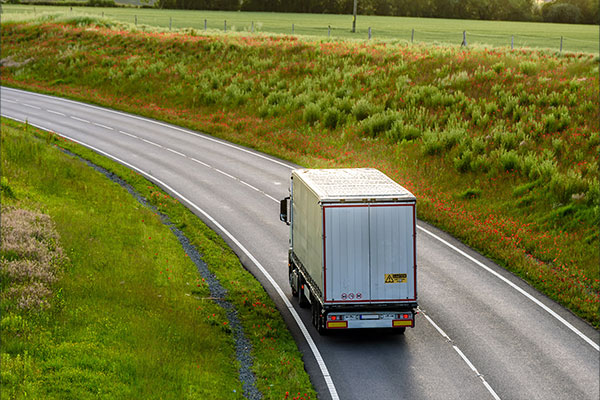 Based in Johannesburg with convenient delivery options